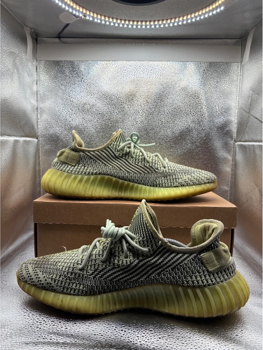 Yeezy size 12
